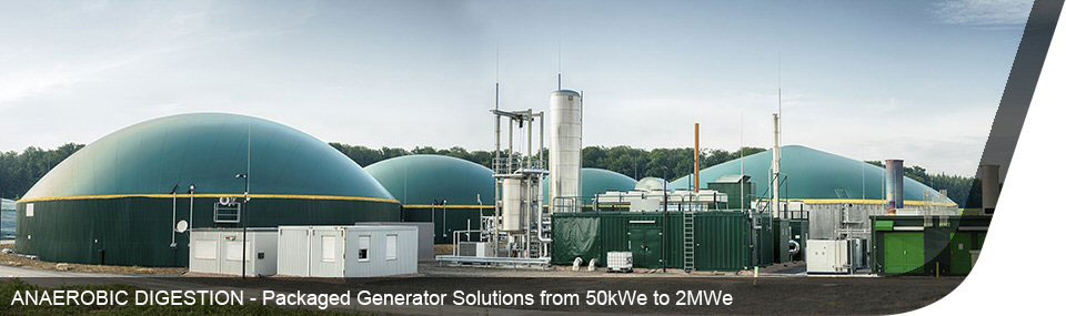 Anaerobic Digestion